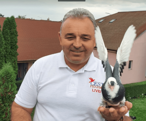 Liviu Plăvițu, campion incontestabil al categoriilor Pui în sezonul 2024